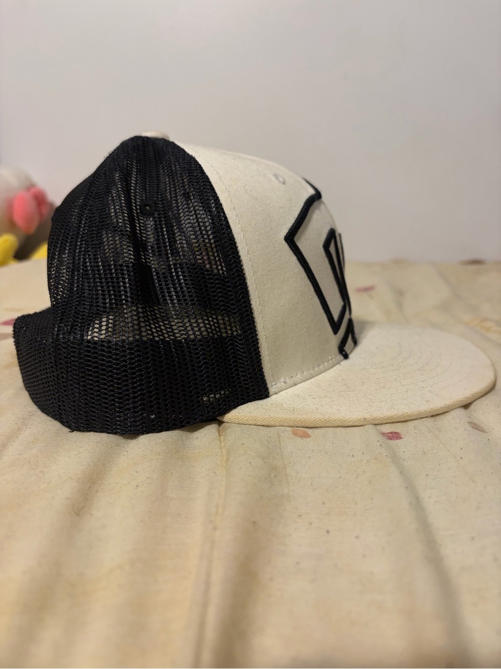 DC Mesh SnapBack - Picture 4 of 5